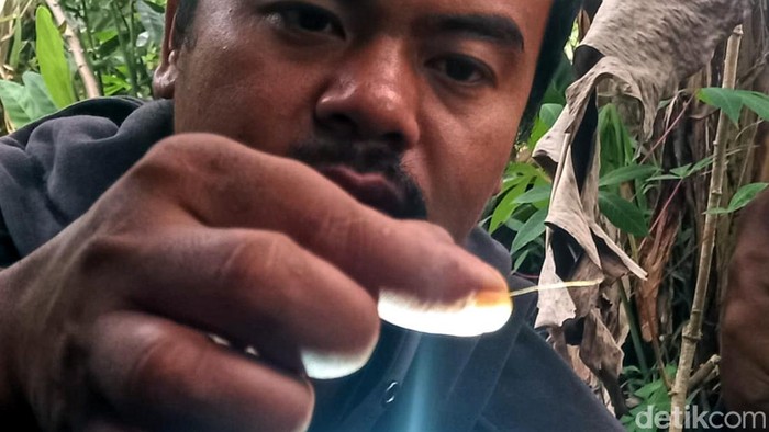Agi menunjukan bulu dan lokasi ditemukannya bulu diduga milik harimau di Cicantayan