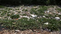Sampah merata di sepanjang sungai Cikarang. Sebagai catatan, hari ini merupakan peringatan hari Sungai Nasional. Sayangnya masih banyak sungai dipenuhi sampah seperti Kali Cikarang ini.