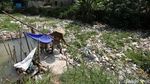 Foto Sampah yang Memenuhi Kali Cikarang dan Bikin Bau Busuk Menyengat