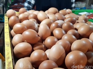 Pak Mendag, Harga Telur Ayam Masih Mahal Tembus Rp 32.000/Kg
