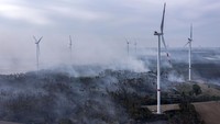 Asap tampak mengepul dari lokasi kebakaran hutan di Falkenberg, Jerman. Jan Woitas/dpa via AP.