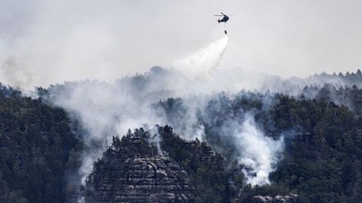 Helikopter Dikerahkan untuk Padamkan Kebakaran Hutan di Jerman