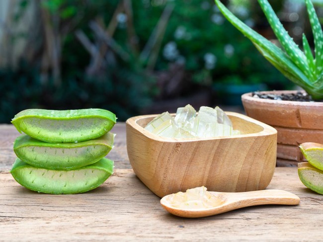 Ilustrasi Manfaat Lidah Buaya untuk Kecantikan Fresh aloe vera plant, slices and gel on wooden background, skin therapy concept, copy space