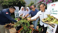 Ewindo sebagai perusahaan benih sayuran Cap Panah Merah memberikan pelatihan teknik menanam beragam sayuran daun seperti bayam, kangkung, pak choy, dengan sistem urban farming dan hidroponik kepada siswa SLB sebagai wujud kepedulian kepada komunitas penyandang disabilitas agar mengenal dunia hortikultura dari lingkungan sekolah serta  melatih kemandirian serta kewirausahaan siswa-siswi SLB melalui dunia pertanian.