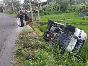 Sopir Ngantuk, Mobil APV Angkut 5 Orang Terjun ke Sawah di Karangasem