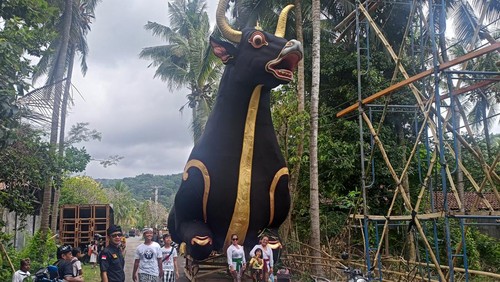 lembu yang berukuran sangat besar yang nantinya akan digunakan saat puncak pengabenan massal pasemetonan PGSDT Kecamatan Manggis