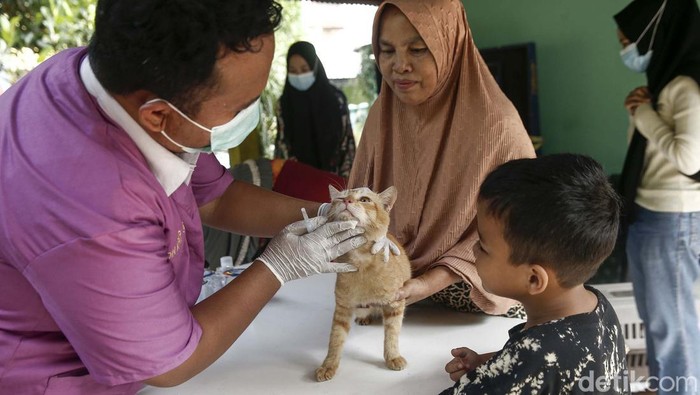 Vaksinasi Rabies terhadap hewan peliharaan dilakukan di kawasan Meruya, Jakarta Barat, Rabu (27/7/2022). Di antara yang disuntik adalah kucing dan kera.