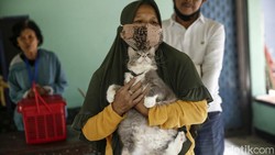 Vaksinasi rabies terhadap hewan peliharaan dilakukan di kawasan Meruya, Jakarta Barat, Rabu (27/7/2022). Di antara yang disuntik adalah kucing dan kera.
