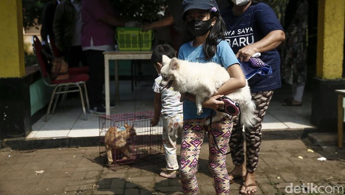 Vaksinasi Rabies terhadap hewan peliharaan dilakukan di kawasan Meruya, Jakarta Barat, Rabu (27/7/2022). Di antara yang disuntik adalah kucing dan kera.