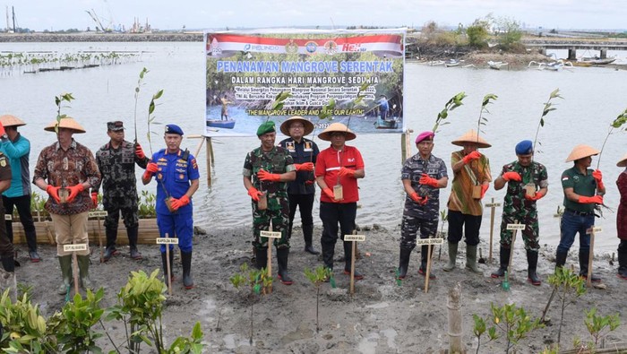 Pangkalan TNI AL Denpasar (Lanal Denpasar) bersama Instansi TNI/Polri dan stakeholder lain melaksanakan penanaman mangrove serentak, di Tahura Utara Dumping II Pelabuhan Benoa, Denpasar, Bali, Selasa (26/07/2022).