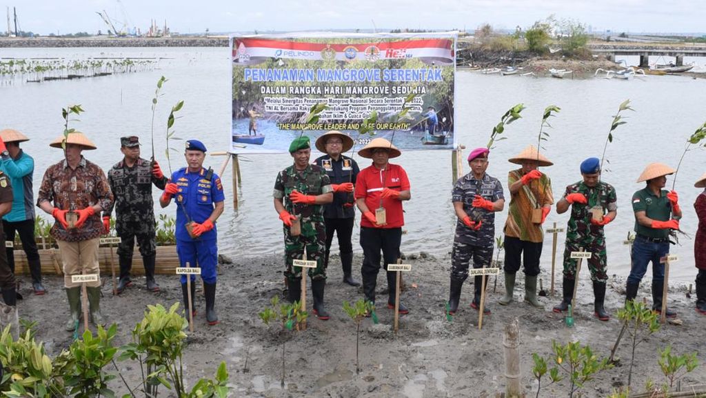 Tanam Mangrove Serentak se-Indonesia, TNI AL Pecahkan Rekor MURI