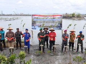 Tanam Mangrove Serentak se-Indonesia, TNI AL Pecahkan Rekor MURI