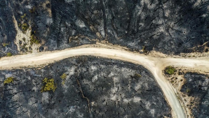 A firefighting helicopter drops water during a wildfire in the Dadia National Park, in Evros, Greece, July 25, 2022. REUTERS/Alexandros Avramidis