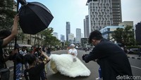 Fenomena catwalk di zebra cross Citayam Fashion Week akhir-akhir ini menjadi tren di kalangan masyarakat.