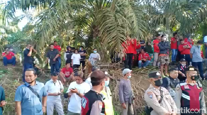 Proses ekshumasi Brigadir J jadi tontonan warga.