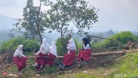 Tak cuma sepi peminat, saat ini hanya ada tiga guru pengajar di SD Negeri 5 Cikidang, dua guru tetap dan seorang penjaga sekolah yang diperbantukan menjadi guru kelas. (Foto: Whisnu Pradana/detikJabar)