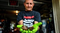 Warga menunjukkan siput yang telah ditangkap. Membludaknya populasi siput ini diduga diawali dari seseorang yang membawa hewan itu sebagai hewan peliharaan. 