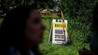 Penanda dibuat terkait ledakan populasi siput. Invasi siput ini dikhawatirkan membahayakan industri agrikultur. Pasalnya, siput-siput tersebut tergolong rakus dan diketahui telah memakan 500 jenis tanaman.