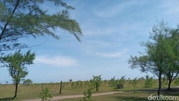 Tanjung Cemara di Pangandaran.