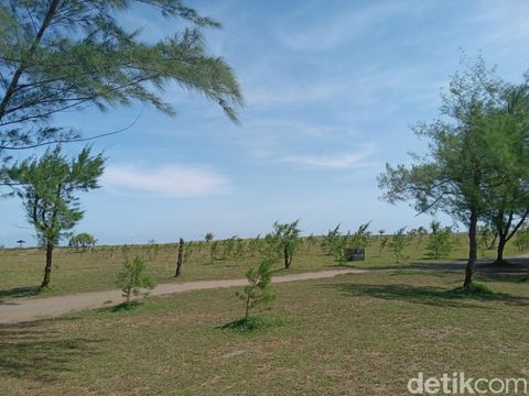 Tanjung Cemara di Pangandaran.
