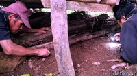 Awalnya dari rasa penasaran saya ke sini melihat tempat penemuan hewan katanya harimau. Lalu menemukan bulu sebanyak lima helai selama dua hari berturut-turut, kata Agi kepada detikJabar, Rabu (27/7/2022) seraya menunjukan lokasi temuan bulu di sekitar saung.