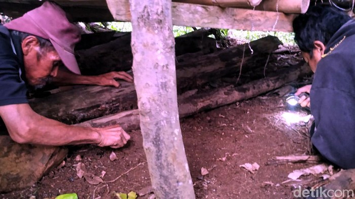 Temuan bulu hewan diduga harimau di Citayam, Sukabumi