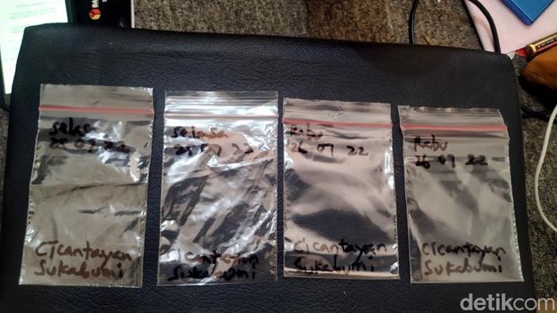 Temuan bulu hewan diduga harimau di Citayam, Sukabumi