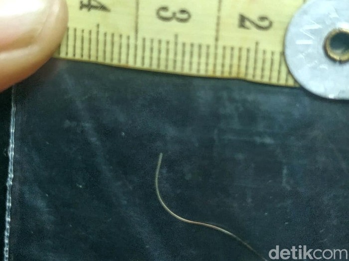Temuan bulu hewan diduga harimau di Citayam, Sukabumi