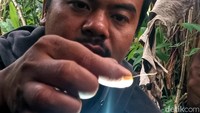5 Helai bulu ditemukan warga di sekitar lokasi penampakan satwa diduga harimau di Kampung Salagombong, Desa Sukadamai, Kecamatan Cicantayan, Kabupaten Sukabumi, Jawa Barat. Lokasi tepatnya di sekitar saung atau gubuk tempat dimana warga pertama kali melihat satwa tersebut.