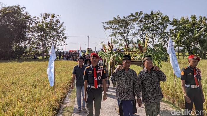 tradisi metik pari di ponorogo