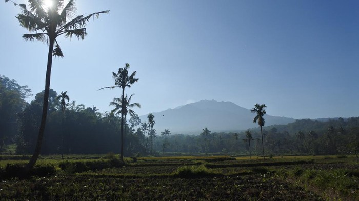 Gunung Raung terlihat dari Desa Gunung Malang, Sumberjambe, Jember, Jawa Timur, Kamis (28/7/2022).
Gunung Raung setinggi 3.332 meter di atas permukaan laut (mdpl) mengeluarkan abu vulkanik pada Rabu (27/7/2022) kemarin, pukul 17.19-17.28 WIB dan status gunung level I atau normal. ANTARA FOTO/Seno/foc.