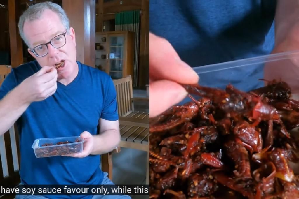 Bule coba makan belalang goreng di Blora, Jawa Tengah