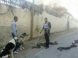 Aksi Nyeleneh yang Terekam Kamera,  Bikin Geleng-geleng dan Ngakak