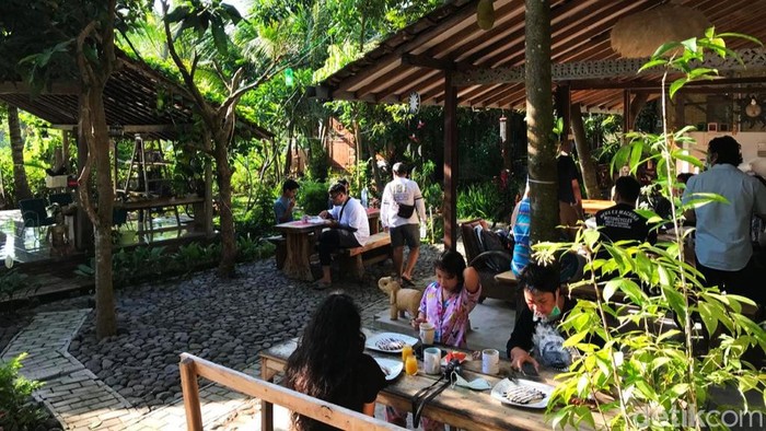 Homestay di Banyuwangi