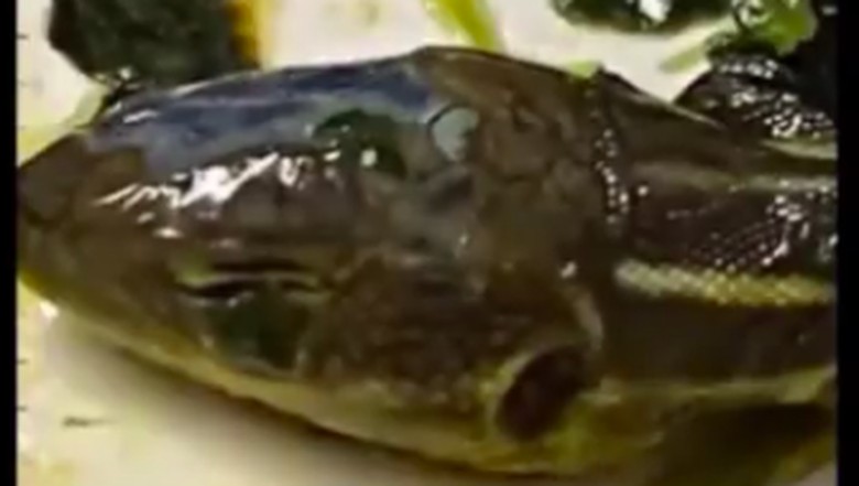 Kepala ular di makanan pesawat Kepala ular di makanan pesawat