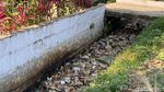 Jorok! Drainase di Jalan Majalaya-Rancaekek Dipenuhi Sampah