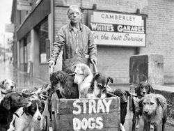 9 Foto Bersejarah yang Menarik dari Facebook History In Pictures