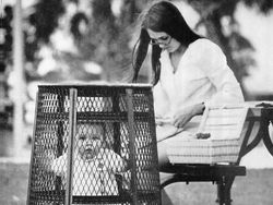 9 Foto Bersejarah yang Menarik dari Facebook History In Pictures