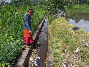 Puluhan Jarum Suntik Bekas di Abang Ternyata Milik Klinik Hewan