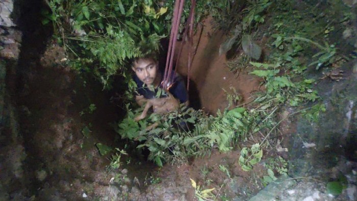 Petugas Damkar evakuasi anjing yang masuk ke dalam sumur di Gunungsindur, Kabupaten Bogor.