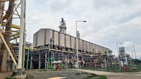 Pabrik Pupuk NPK Berbasis Nitrat Bakal Dibangun, Diklaim Pertama di RI