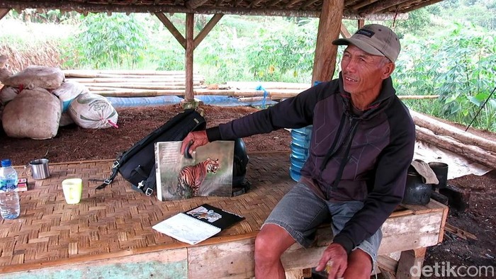 Sugandi (51) warga Cicantayan yang menjadi saksi kemunculan hewan diduga harimau di Sukabumi