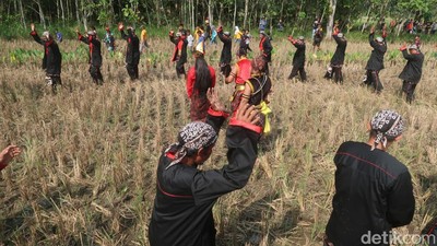 Upacara Adat Cing Cing Goling, Warisan Budaya Tak Benda Gunungkidul