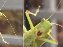 10 Potret Satwa Liar yang Gagal, Lucu Bikin Ngakak