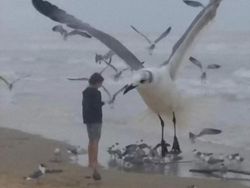 10 Potret Satwa Liar yang Gagal, Lucu Bikin Ngakak