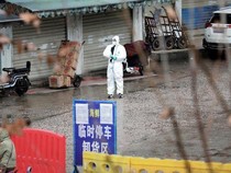 Studi Baru Ungkap Asal-usul Pandemi COVID-19, Disebut Bukan dari Kebocoran Lab Wuhan