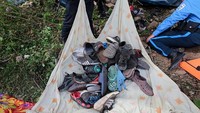 Selain itu 47 penumpang lainnya terluka.  