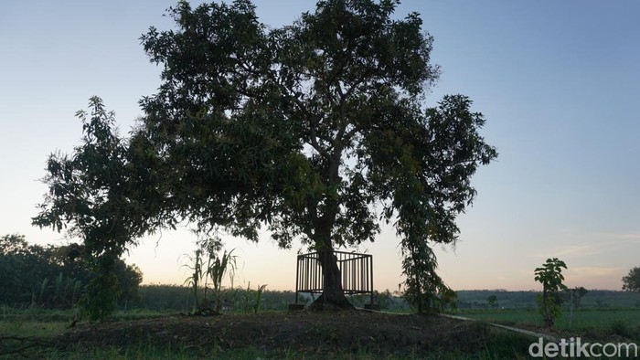 Tradisi kenduri di Punden Dok Katul, Dusun Memek, Desa Tanjung Wadung, Kabuh, Jombang tetap lestari. Tradisi ini tak lepas dari kepercayaan warga setempat tentang sosok perempuan penunggu punden tersebut.