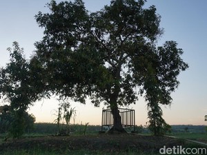 Legenda di Dusun Memek dan Tradisi Kenduri yang Lestari
