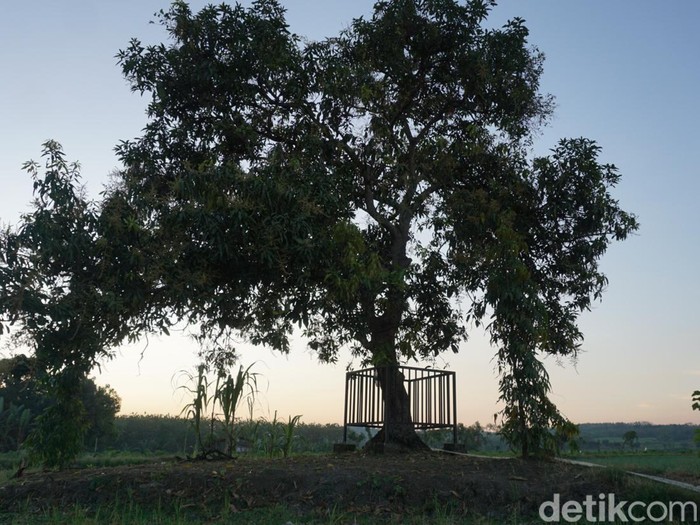 Tradisi kenduri di Punden Dok Katul, Dusun Memek, Desa Tanjung Wadung, Kabuh, Jombang tetap lestari. Tradisi ini tak lepas dari kepercayaan warga setempat tentang sosok perempuan penunggu punden tersebut.